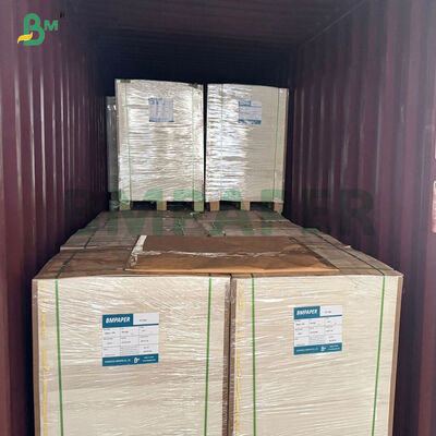 Gıda Kapları İçin %100 Saf Odun Hamuru 280gsm 300gsm Beyaz Kaplamalı Kraft Karton