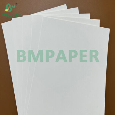 200gm Ekoloji dostu Çiğ Absorbent Coaster Base Kağıt Bira Mat & Cup Mat Üretimi için Blowing Kağıt