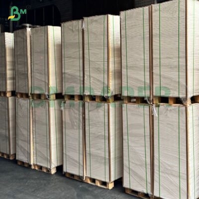 180–250gsm Gıda Sınıfı Tek Taraflı PE Kaplamalı Pürüzsüz Çorba Kasesi Taban Kağıdı
